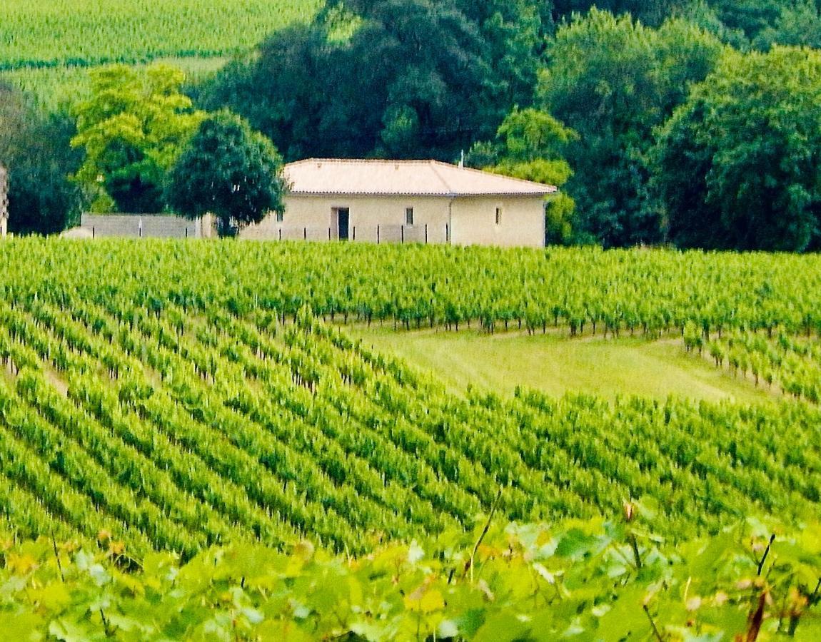 La Grande Escale Des Brias Villa Saint-Martin-Lacaussade Buitenkant foto